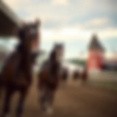 Magnificent Exploring the Landscape of Horse Racing in Florence, KY Magnificent Exploring the Landscape of Horse Racing in Florence, KY