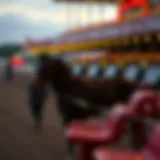 Exploring the Landscape of Horse Racing in Florence, KY Introduction