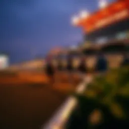 A dynamic view of a live horse race at TwinSpires